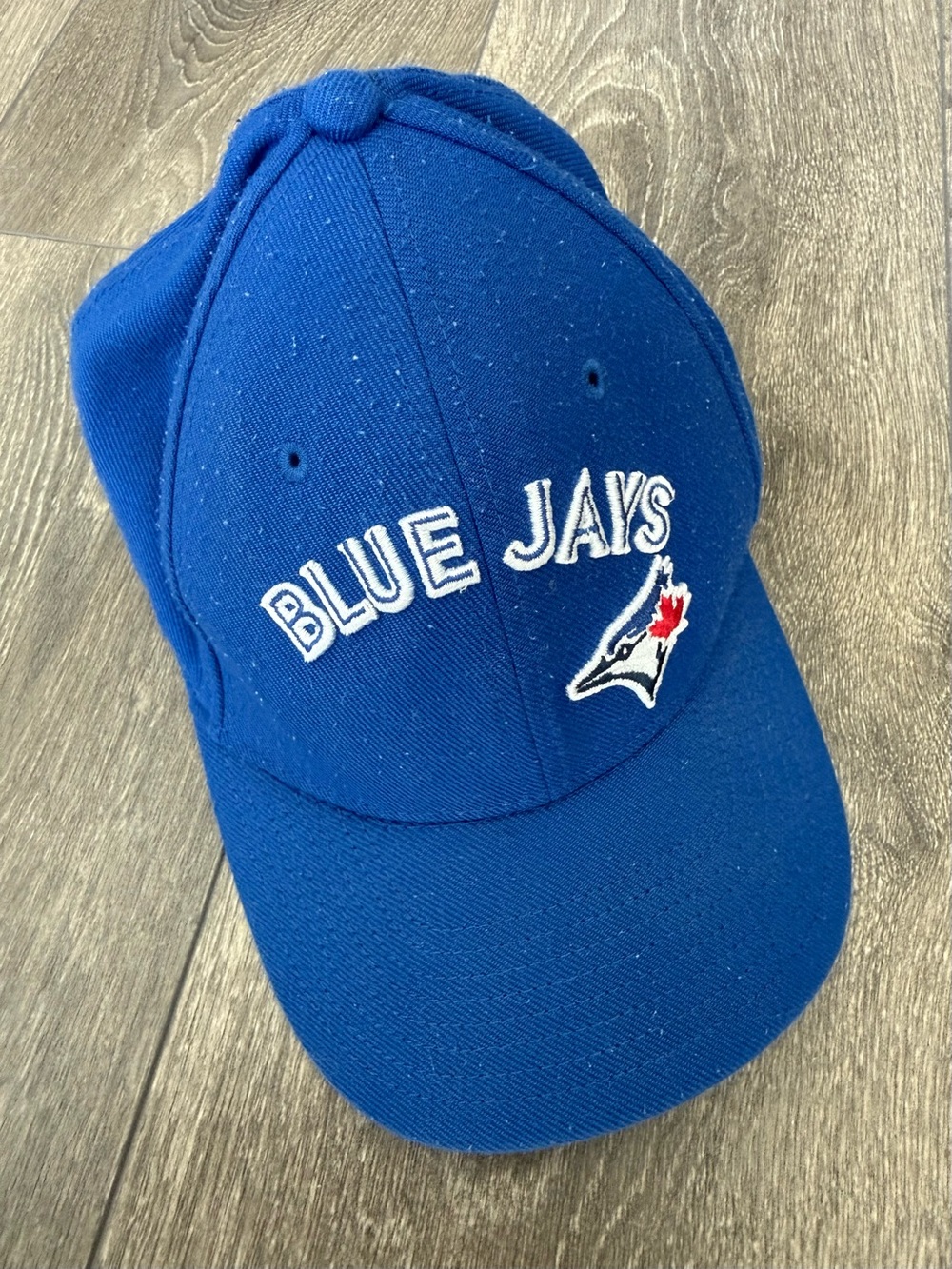 Nike Blue Jays Cap